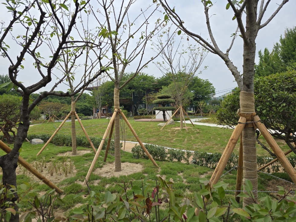 운동장 생태공원 13